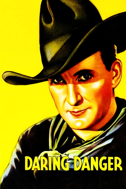 Póster de Daring Danger