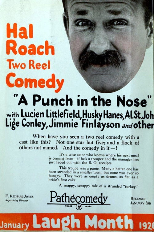 Póster de A Punch in the Nose
