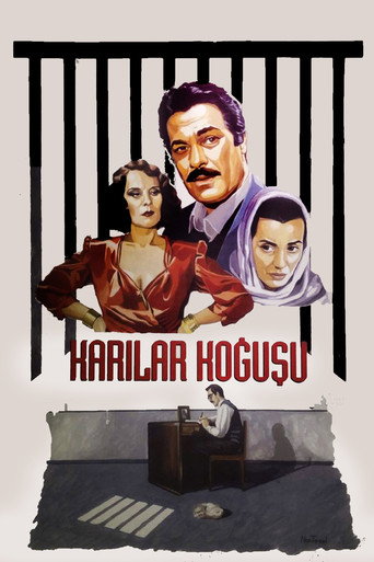 Póster de Karılar Koğuşu