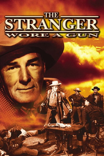 Póster de The Stranger Wore a Gun