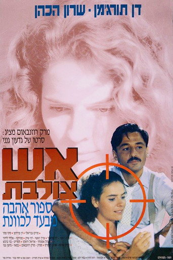 Póster de אש צולבת