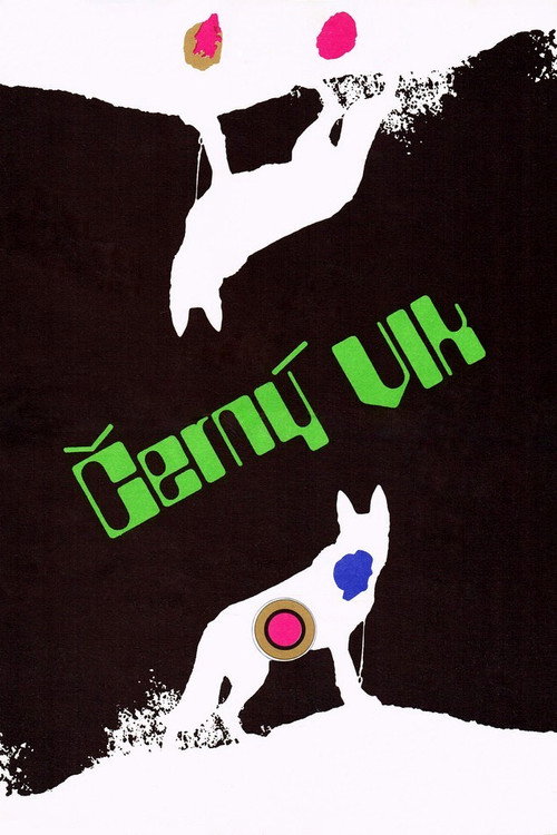 Póster de Černý vlk