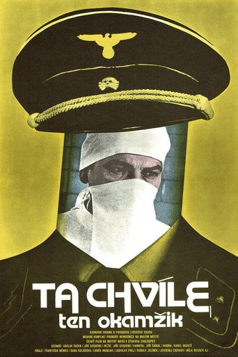 Póster de Ta chvíle, ten okamžik