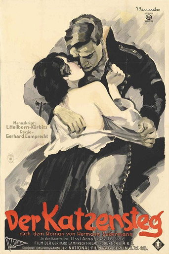 Póster de Der Katzensteg