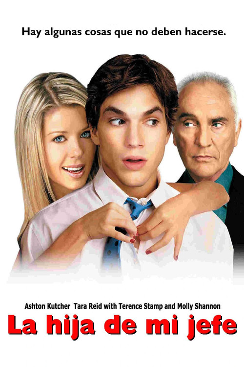 Póster de La Hija de Mi Jefe
