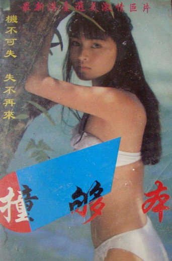 Póster de 撞够本