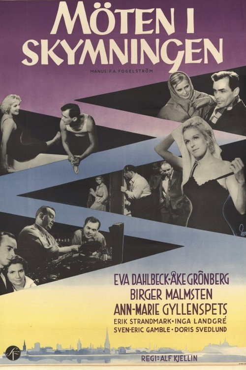 Póster de Möten i skymningen
