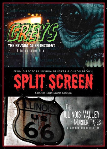 Póster de Split Screen