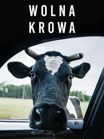 Póster de Wolna krowa