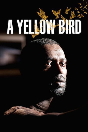 Póster de A Yellow Bird