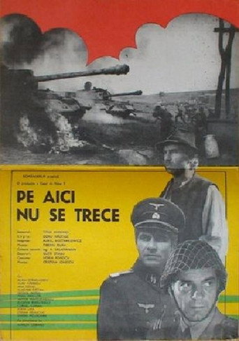 Póster de Pe aici nu se trece