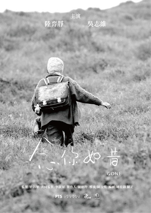 Póster de 念你如昔