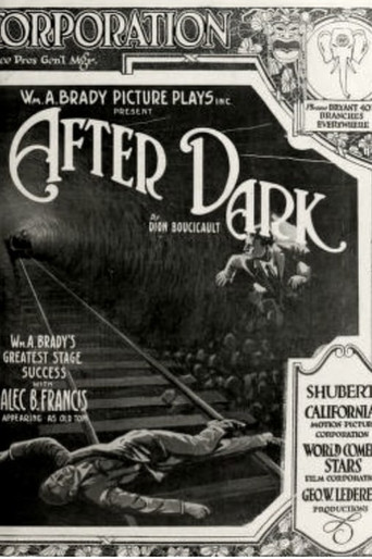 Póster de After Dark