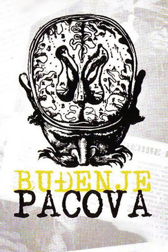 Póster de Буђење пацова
