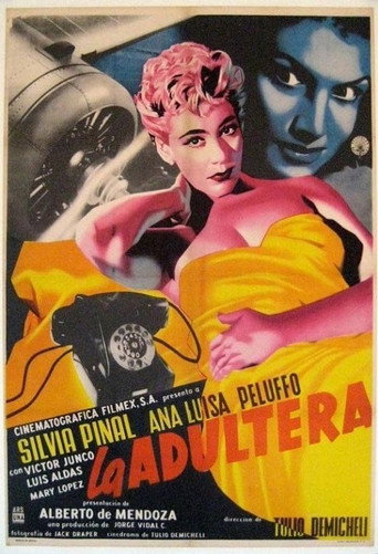 Póster de La adúltera