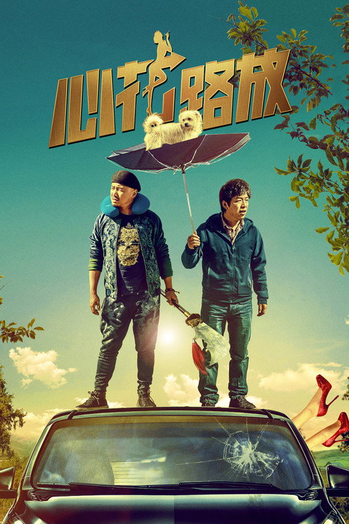 Póster de 心花路放