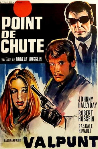 Póster de Point de Chute