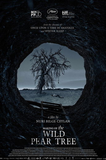 Póster de Making of The Wild Pear Tree