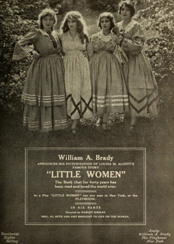 Póster de Little Women