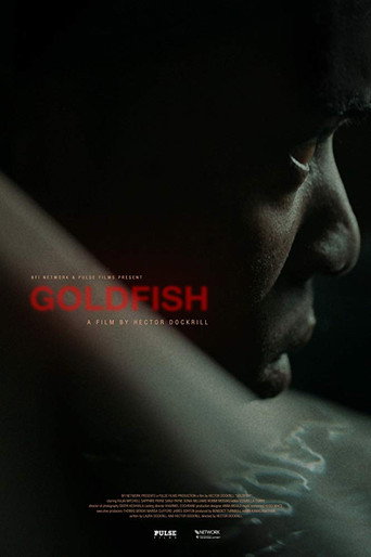 Póster de Goldfish
