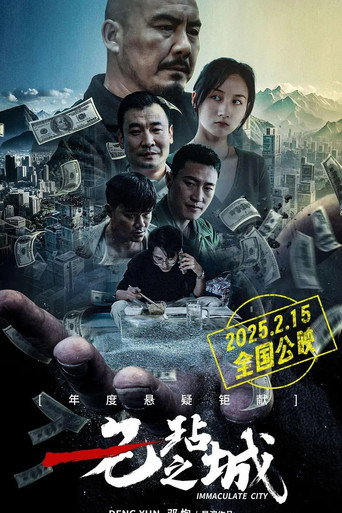 Póster de 无玷之城