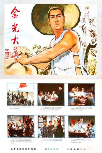 Póster de 金光大道（中集）