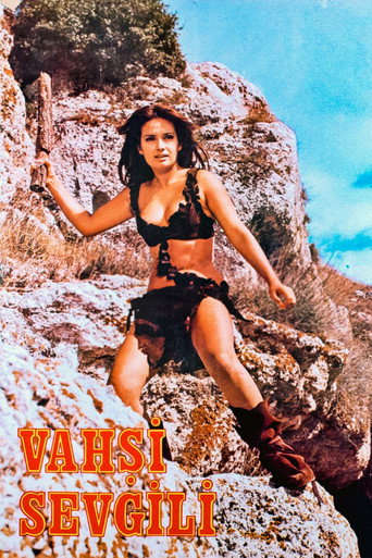 Póster de Vahşi Sevgili