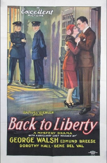 Póster de Back to Liberty