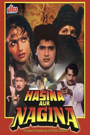 Póster de हसीना और नगीना