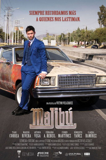 Póster de Malibú