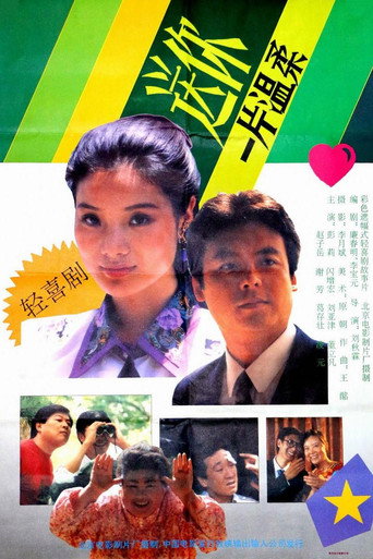 Póster de 送你一片温柔