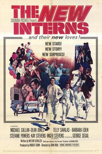 Póster de The New Interns