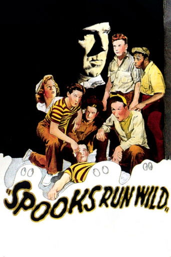 Póster de Spooks Run Wild