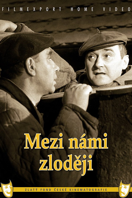 Póster de Mezi námi zloději