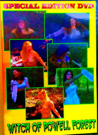 Póster de Witch Of Powell Forest