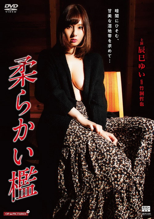 Póster de 疑心乱交 闇夜にうごめく雌尻