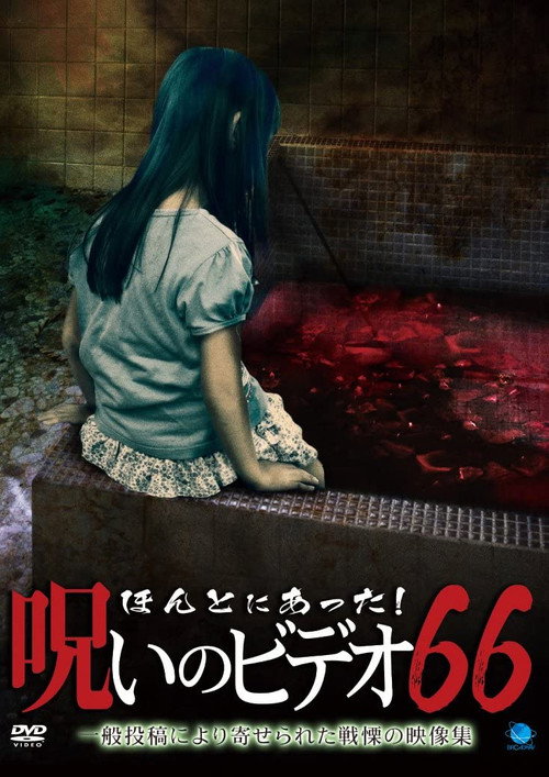 Póster de ほんとにあった！呪いのビデオ66