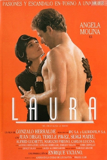 Póster de Laura, del cielo llega la noche