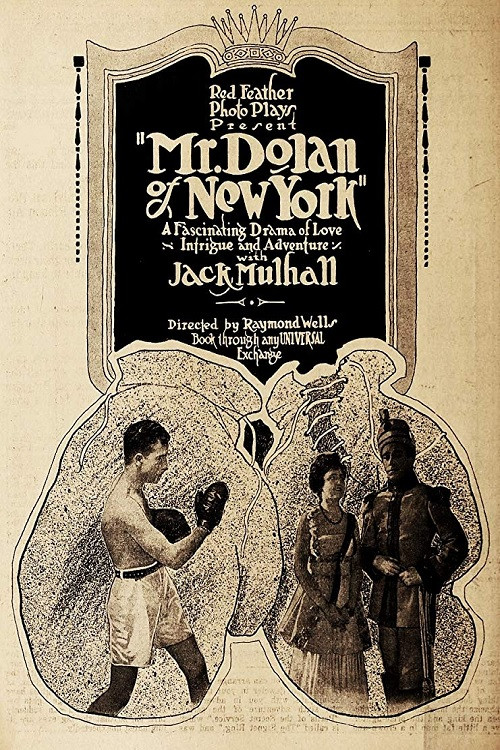 Póster de Mr. Dolan of New York
