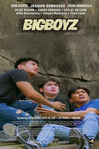 Póster de Bigboyz