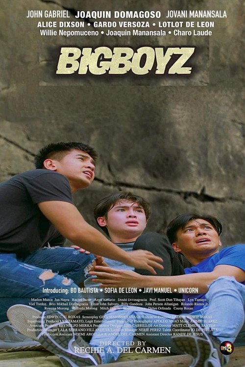 Póster de Bigboyz