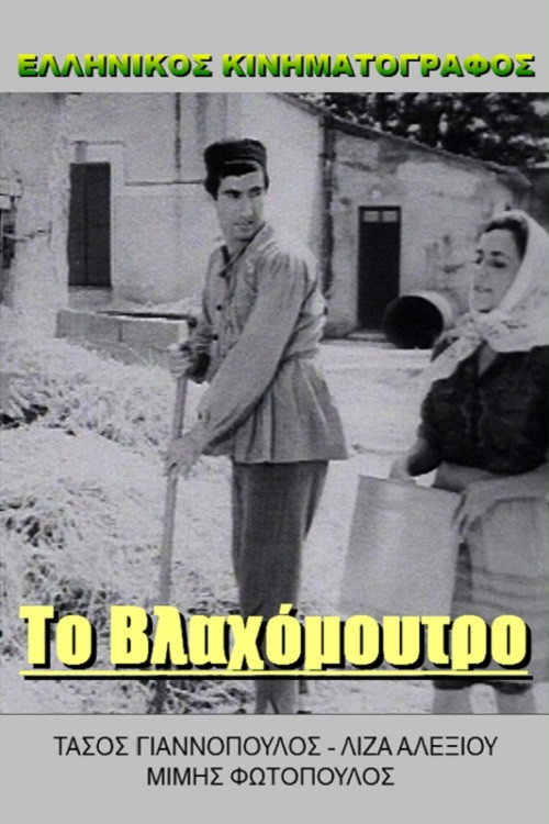 Póster de Πράκτωρ Κίτσος καλεί Γαστούνη