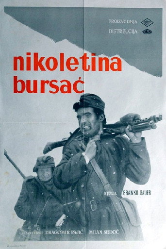 Póster de Nikoletina Bursać