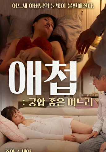 Póster de 애첩 : 궁합 좋은 며느리