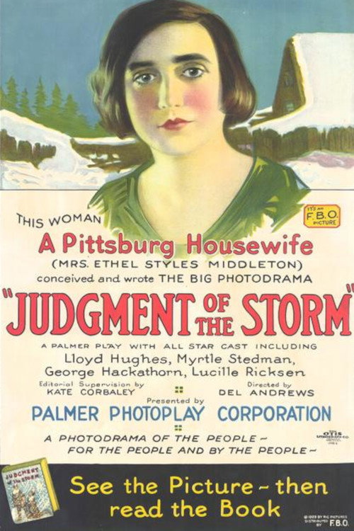 Póster de Judgment of the Storm