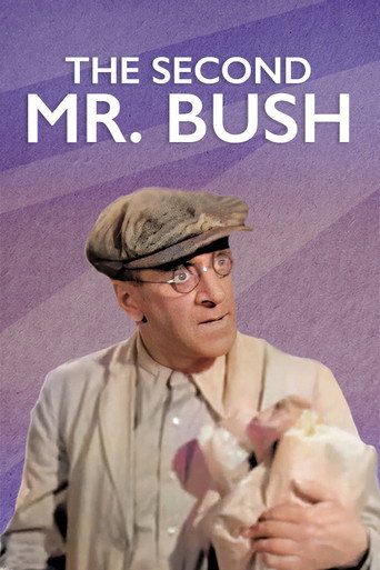 Póster de The Second Mr. Bush