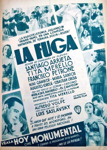 Póster de La fuga