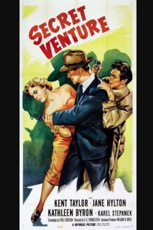 Póster de Secret Venture