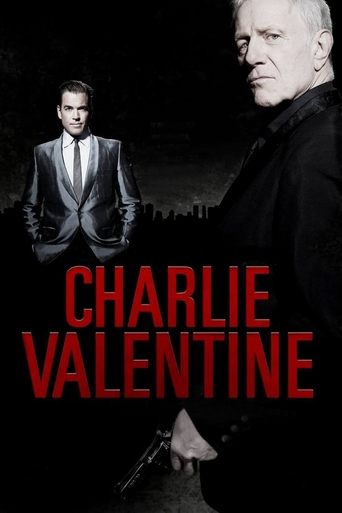 Póster de Charlie Valentine