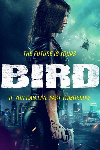 Póster de Bird